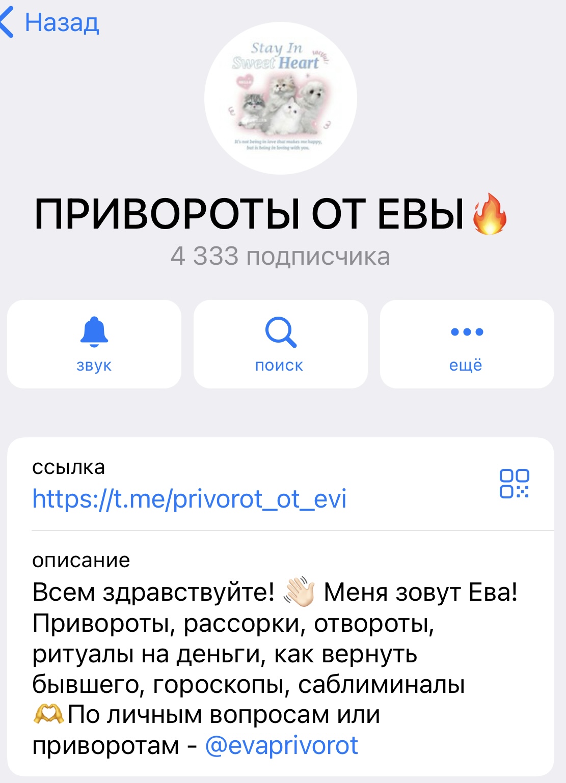 привороты от евы отзывы