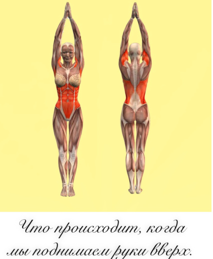 урал целитель